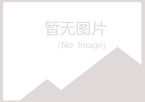 白银平川字迹房地产有限公司